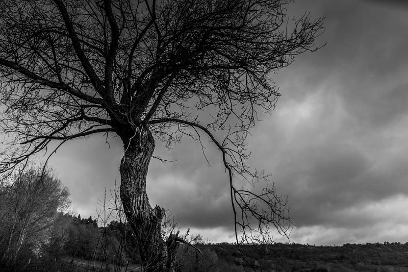 2019_05_02_Auvergne (0022).jpg - Dent du Marais (Mai 2019)